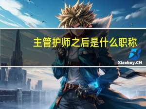 主管护师之后是什么职称