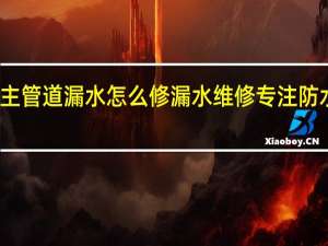 主管道漏水怎么修 漏水维修专注防水补漏