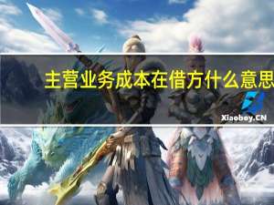 主营业务成本在借方什么意思