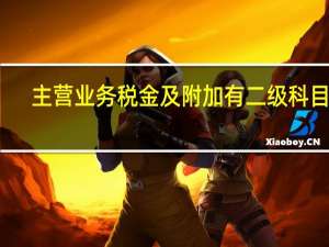 主营业务税金及附加有二级科目吗（营业税金及附加二级科目有哪些）