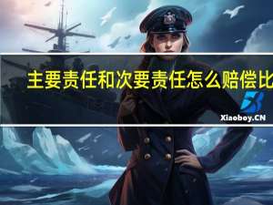 主要责任和次要责任怎么赔偿比例