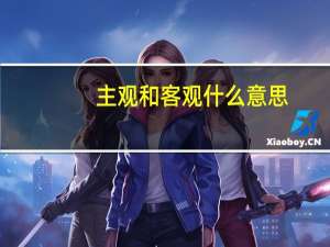 主观和客观什么意思