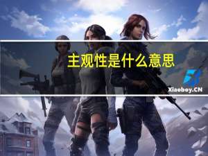 主观性是什么意思