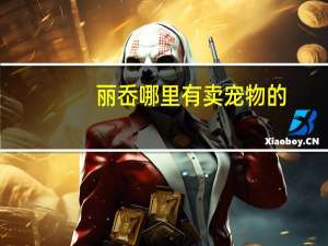 丽岙哪里有卖宠物的