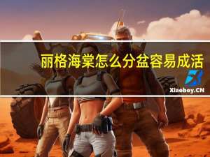 丽格海棠怎么分盆容易成活