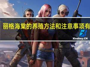 丽格海棠的养殖方法和注意事项有哪些