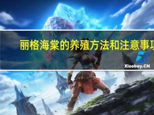 丽格海棠的养殖方法和注意事项：浇水要适当