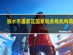丽水市莲都区国家税务局机构简介