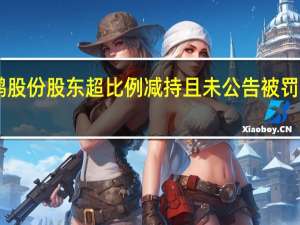 丽鹏股份股东超比例减持且未公告 被罚款70万元