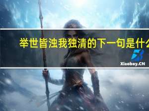 举世皆浊我独清的下一句是什么