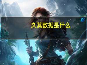 久其数据是什么