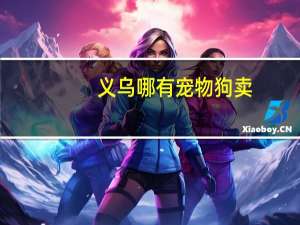 义乌哪有宠物狗卖