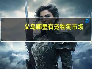 义乌哪里有宠物狗市场