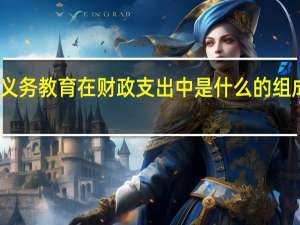 义务教育在财政支出中是什么的组成部分