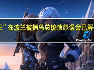 乌“拳王”在波兰被捕 乌总统愤怒 误会已解有望快速平息