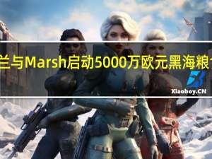 乌克兰与Marsh启动5000万欧元黑海粮食保险计划