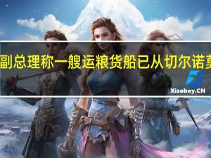 乌克兰副总理称一艘运粮货船已从切尔诺莫斯克港离开