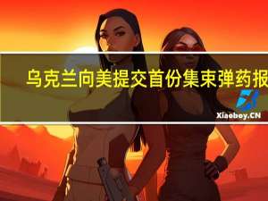 乌克兰向美提交首份集束弹药报告