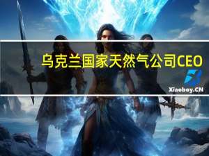 乌克兰国家天然气公司（Naftogaz）CEO：由于冲突的影响乌克兰的年天然气消费量将在2023年降至200亿立方米以下(2021年约为270亿立方米)