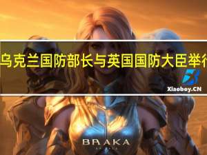 乌克兰国防部长与英国国防大臣举行会谈