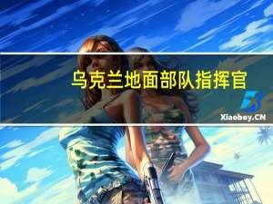 乌克兰地面部队指挥官：东北战线的局势“显著升级”俄罗斯希望在库皮扬斯克-利曼方向突破防线