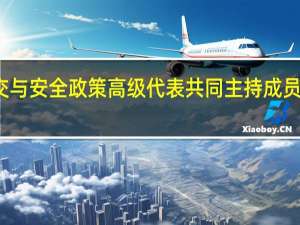 乌克兰外长与欧盟外交与安全政策高级代表共同主持成员国外长会议 到底什么情况嘞