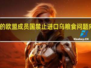 乌克兰就周边的欧盟成员国禁止进口乌粮食问题（正式）向世贸组织（WTO）递交申诉