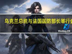 乌克兰总统与法国国防部长举行会谈