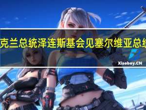 乌克兰总统泽连斯基会见塞尔维亚总统武契奇