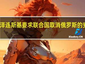乌克兰总统泽连斯基要求联合国取消俄罗斯的安全理事会否决权