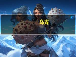 乌媒：泽连斯基表示乌克兰与普里戈任飞机坠毁事故无关