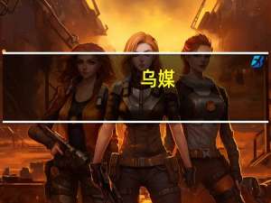 乌媒：黑海农产品外运协议终止后 首艘运送乌粮食的船只抵达土耳其