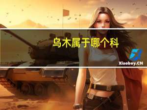 乌木属于哪个科