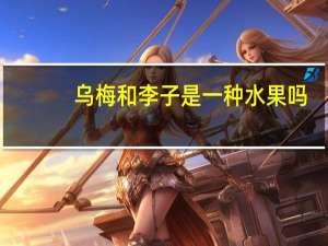 乌梅和李子是一种水果吗