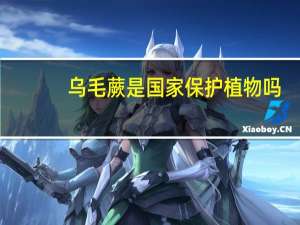 乌毛蕨是国家保护植物吗