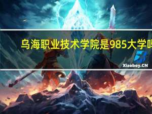 乌海职业技术学院是985大学吗