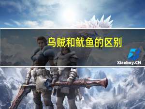 乌贼和鱿鱼的区别