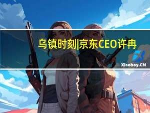 乌镇时刻 | 京东CEO许冉：研发投入累计已超1000亿 大模型将应用于消费导购、商家经营