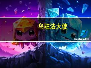 乌驻法大使：法国和乌克兰就对乌供应远程导弹和防空系统谈判