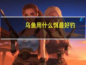 乌鱼用什么饵最好钓