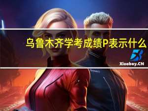 乌鲁木齐学考成绩P表示什么