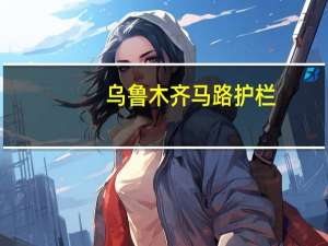 乌鲁木齐马路护栏（马路积水铲车运送市民10元一位）