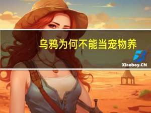 乌鸦为何不能当宠物养