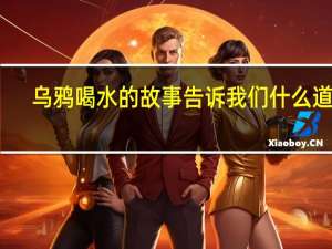 乌鸦喝水的故事告诉我们什么道理