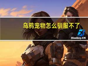 乌鸦宠物怎么驯服不了