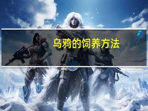 乌鸦的饲养方法