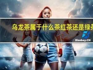乌龙茶属于什么茶红茶还是绿茶