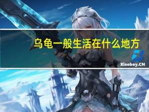 乌龟一般生活在什么地方