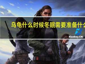 乌龟什么时候冬眠需要准备什么