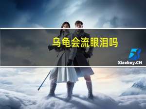 乌龟会流眼泪吗